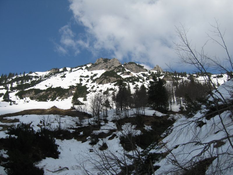 2009-04-13 Stripsenkopf (49)